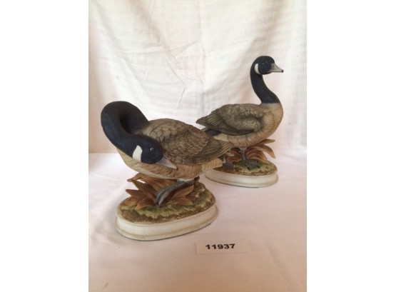 Pair Of Bisque Canadian Geese, Signed
