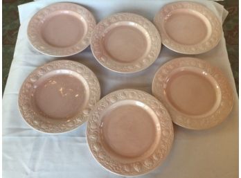 Set Of 12 Pink Plates