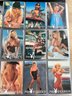 PLATBOY COLLECTOR CARDS THE BEST OF PAMELA ANDERSON