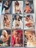 PLAYBOY BINDER SUPERMODELS COLLECTOR CARDS LINGERIE EDITION 1