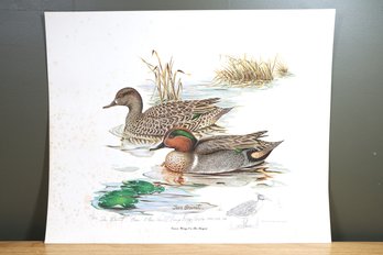 Print 1813/1950 Of 'green Wings On The Bayou' By Tan Brunet - 3 Time World Champ Decoy Carver