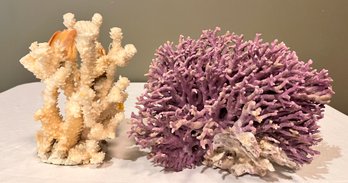 2 Large Coral Natural White And Purple Decorative Shells Nautical Fish Tank