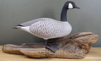 Canadian Goose Bird On Driftwood