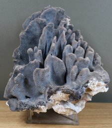 Blue Coral Sculpture On Stand