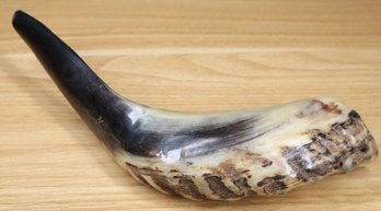 Jewish Ram Horn Shofar Instrument