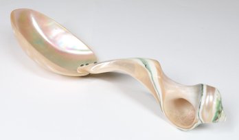 Mother Of Pearl And Conch Shell Natural Polished Seashell Caviar Soup Spoon