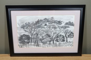 'the Bluff' By Juanita Mitchell, Charcoal On Paper 2002