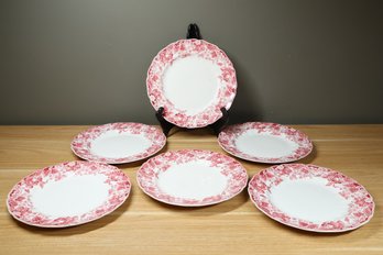 Set Of (6) Vintage Johnson Brothers Strawberry Fair Pink And White Dinner Plates England