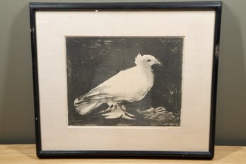 Framed Vintage Picasso Lithograph The Dove Of Peace La Colombe Pigeon 1949