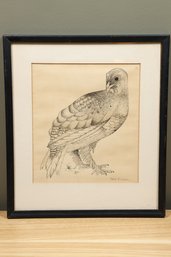 Marta Mitchell Framed Lithograph Bird Signed Vintage