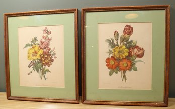 Set Of (2) Vintage Framed Lithographs Of Flower Paintings P.J. Redoute Pointel De Portugal