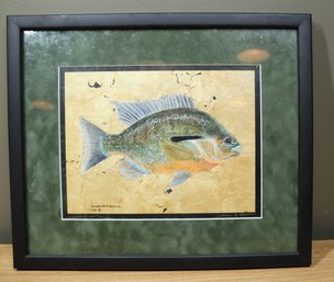 Vintage 1994 Painting Print Norman Alfred Browne Redbreast Sunfish Lepomis Auritus