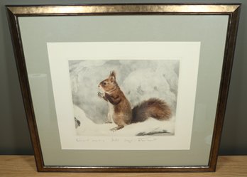 Vintage Framed Original Engraving Curt Meyer-Eberhardt Squirrel In Snow Eichkatzchen