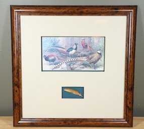 Pheasant Print With Gold Encased Feather Matted And Framed