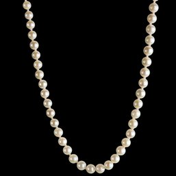 Akoya Cultured Pearl Necklace With 14K White Gold Marked EE58 17'