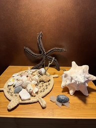 Sea Shell And Misc Decor