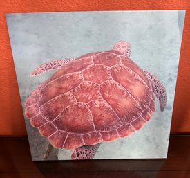 Turtle Print / Picture