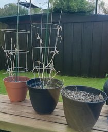 3 Outdoor Pots With Plant Cage