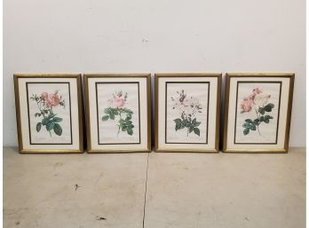 Set Of 4 Pierre Joseph Redoute Rose Flower Prints From Les Roses 16x13