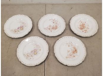 Set Of 5 Antique 7' Hand Painted Botanical Wild Flower Dessert Plates, Probably Austrian