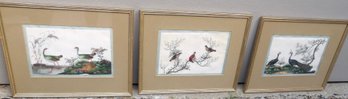 Three Asian Aviary Painting On Rice Paper