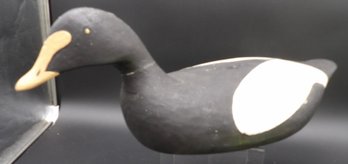 Maine Folk Art Eider Decoy