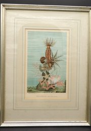 Two Sea Life Colored Lithographs