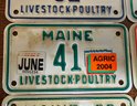 Lot Of State Of Maine Livestock Poultry License Plates 7' X 4'