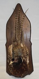Vintage Pheasant Shoulder Mount On Board