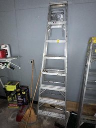 Folding Ladder