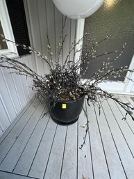 Black Pottery Planter, 17' Tall