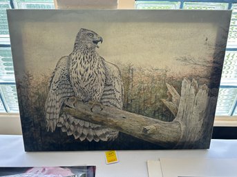 407 Print On Canvas Of Goshawk By Armand LaMontagne, 20' X 28' Some Staining