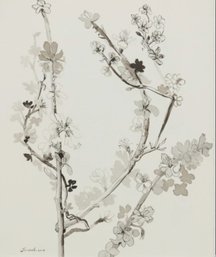 Spring Blossoms, 2013, 2013 Ink On Rice Paper