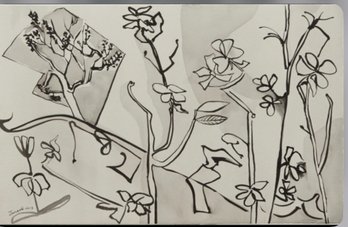 Flowering Plants, 2013, 2013 Ink On Rice Paper