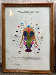 Anatomy Poster