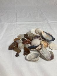 Beautiful Stones And Seashells