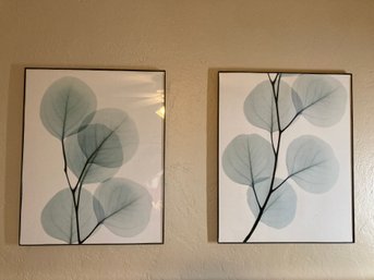 Eucalyptus Leaves Paintings