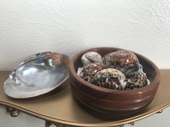 Wood Bowl With Sea Shells  7 Large Shells (please See Photo)