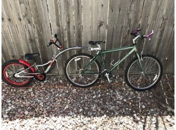 Really Fun Parent/child Bike Set, With Green Raleigh Brand Mountain/Trail Bike & WeeRide CoPilot Child Trailer