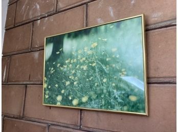 Gold Color Framed Flower Picture