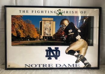 Vintage Framed Notre Dame Poster