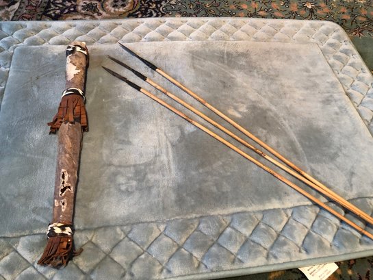 Antique Arrows And Animal Skin Case