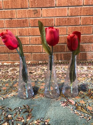 Emma Dafnas Vases With Tulips