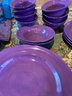 Great Outdoors Purple Dish Set