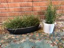 2 Pots With Fake Grass