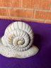 Ceramic Snail