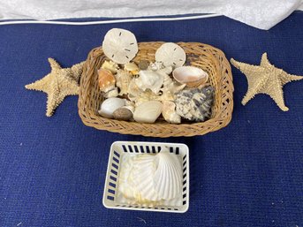 Bundle Of Seashells