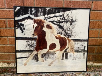 Scholastic Horse Poster Framed