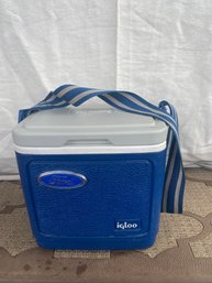 Igloo Ford Cooler