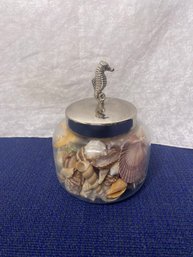 Seashells And Jar